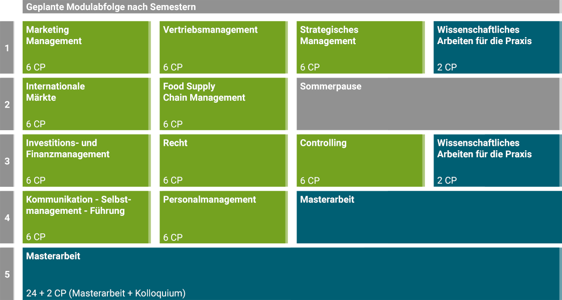 Die Tabelle zeigt die geplante Modulreihenfolge über fünf Semester inklusive Masterarbeit.